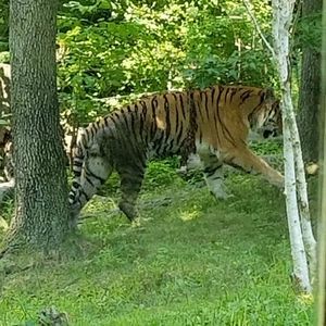 Meet your Posher, Hector